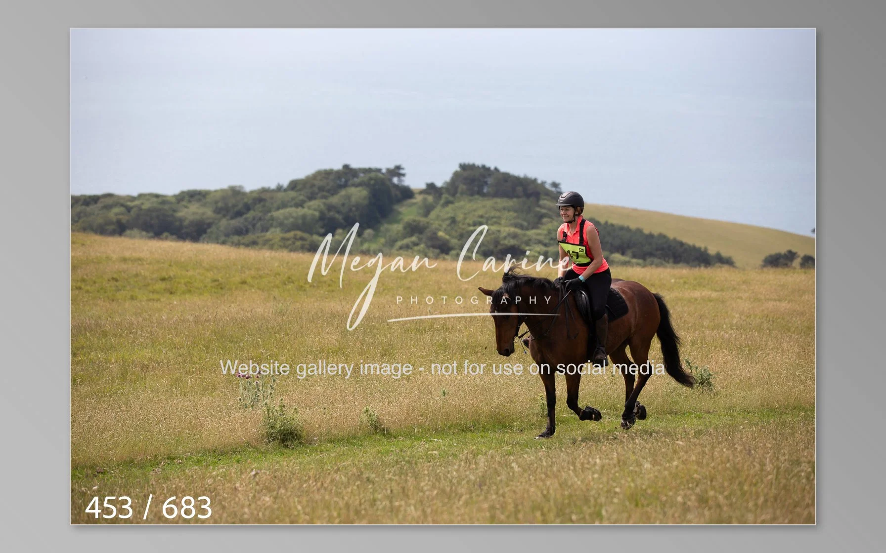 Abbotsbury-453.jpg