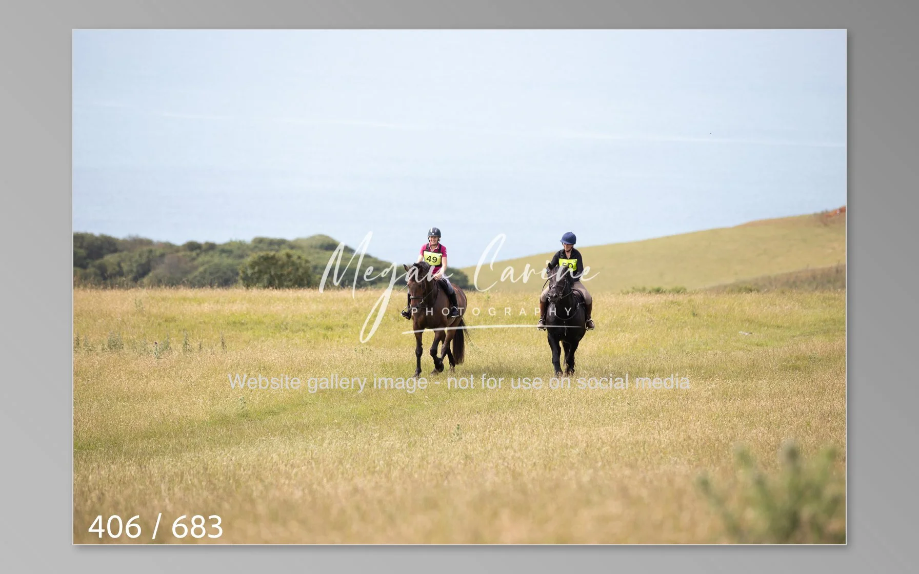 Abbotsbury-406.jpg