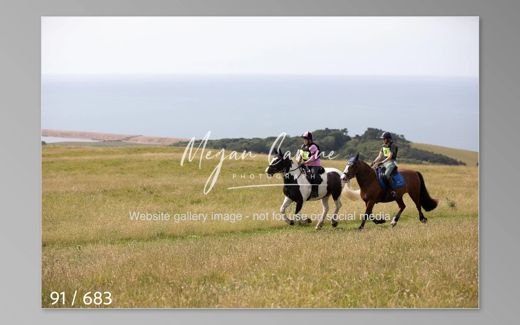Abbotsbury-091.jpg