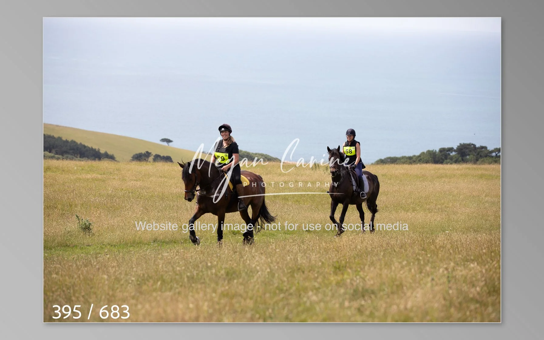 Abbotsbury-395.jpg