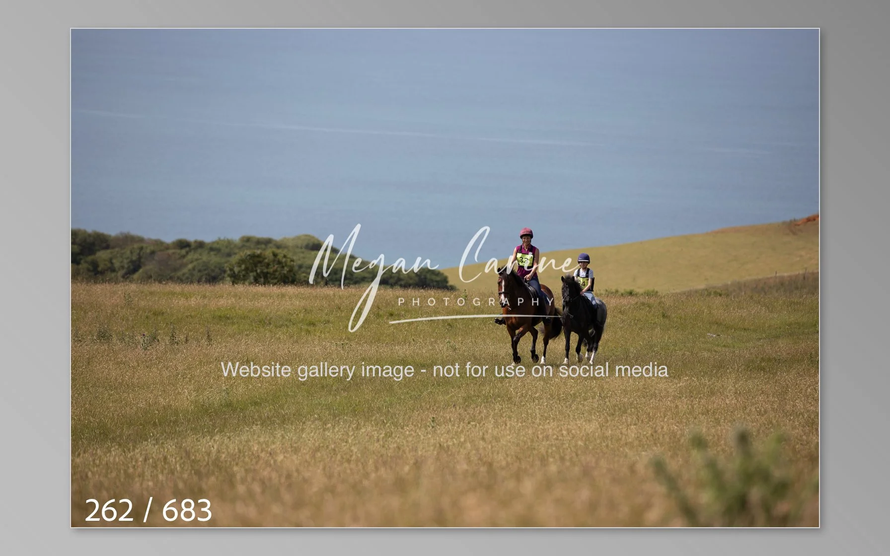 Abbotsbury-262.jpg