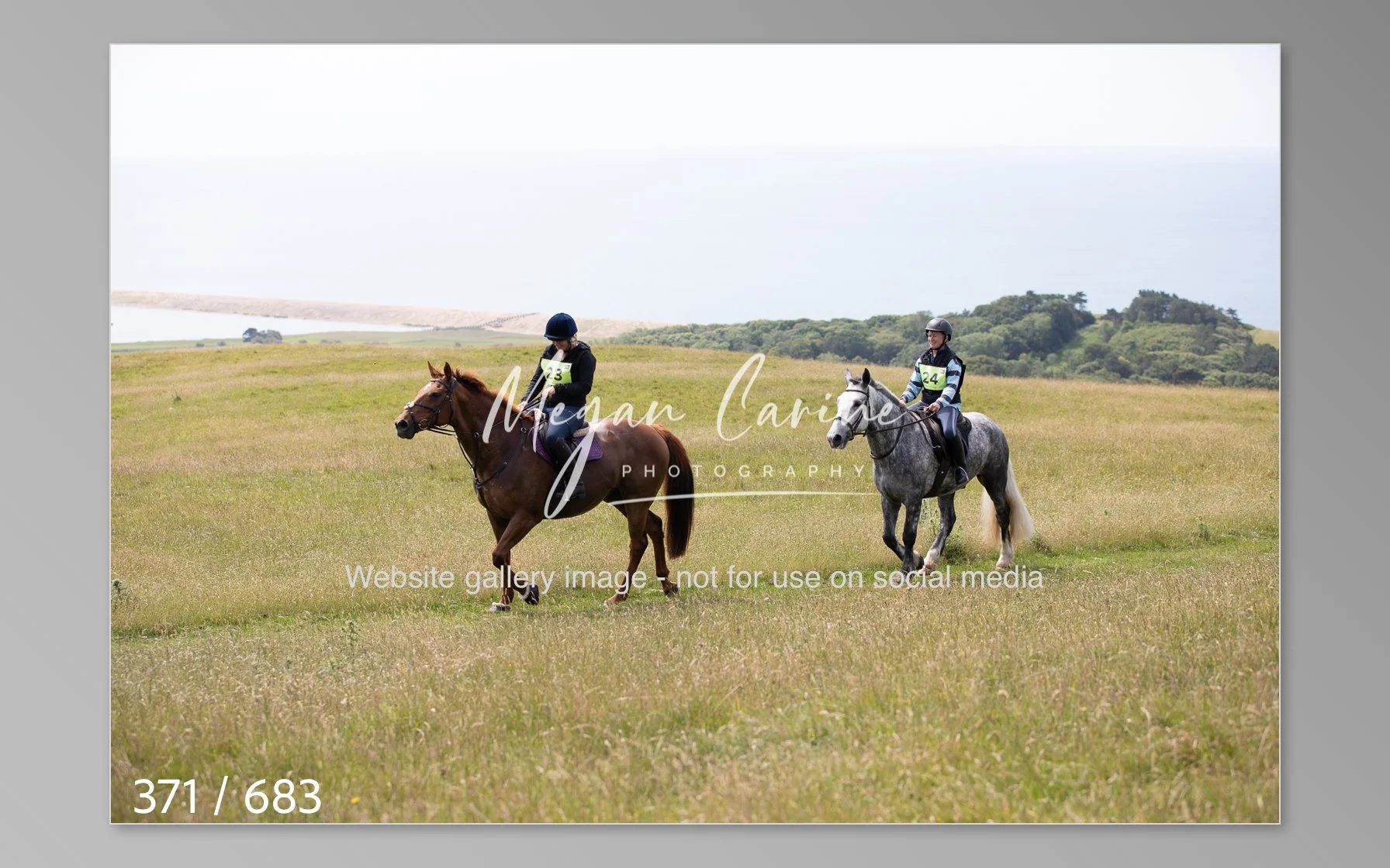 Abbotsbury-371.jpg