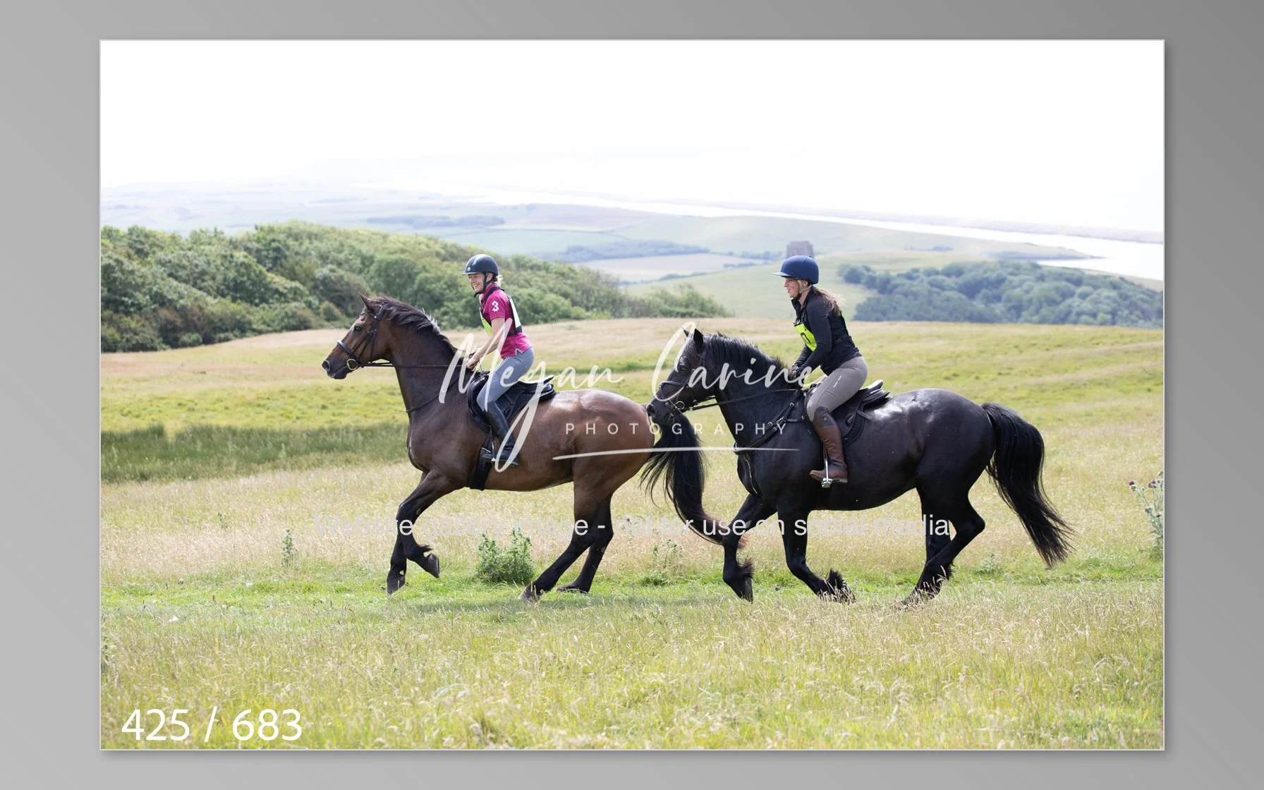 Abbotsbury-425.jpg