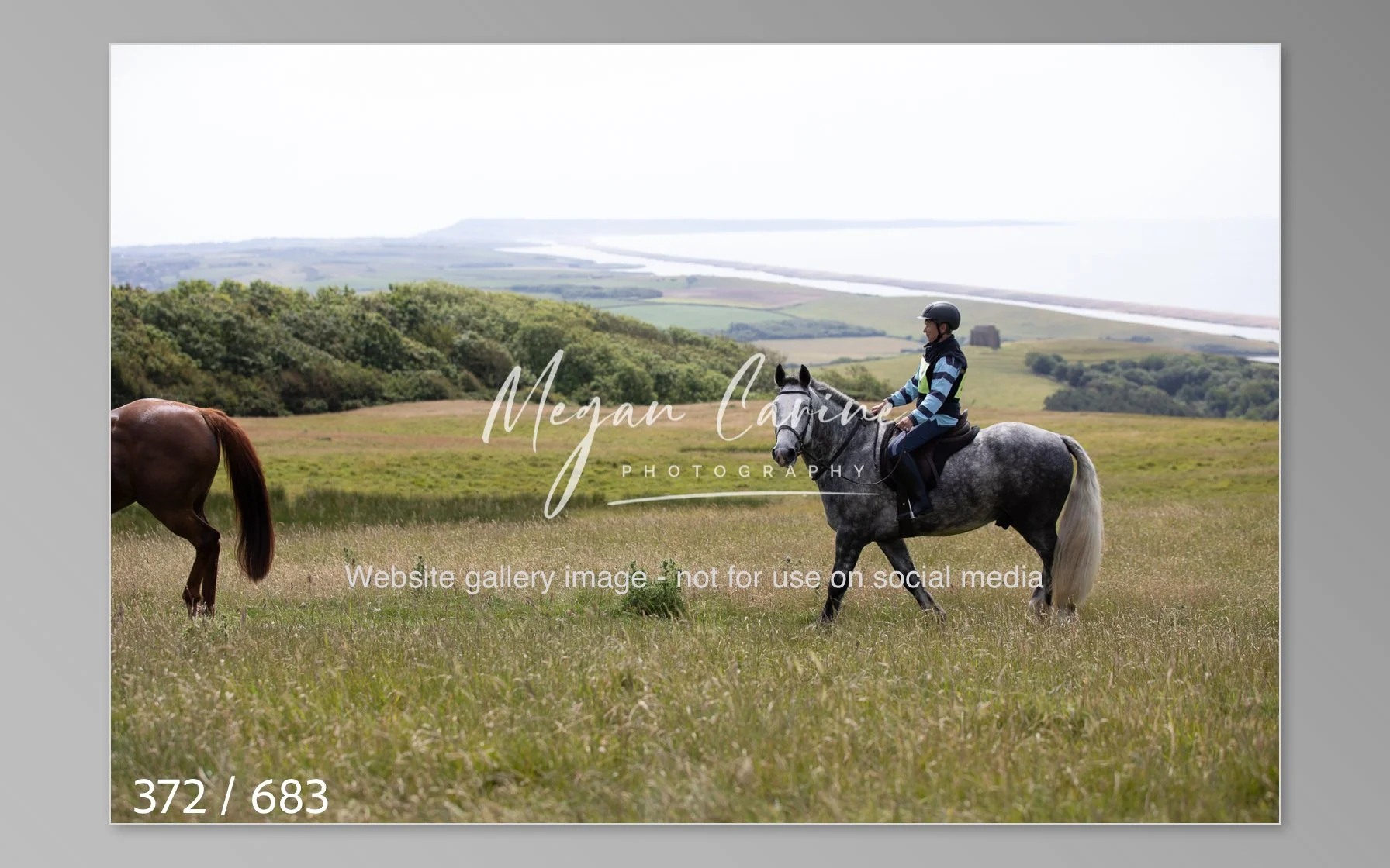Abbotsbury-372.jpg