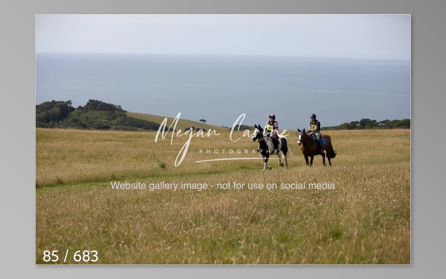 Abbotsbury-085.jpg