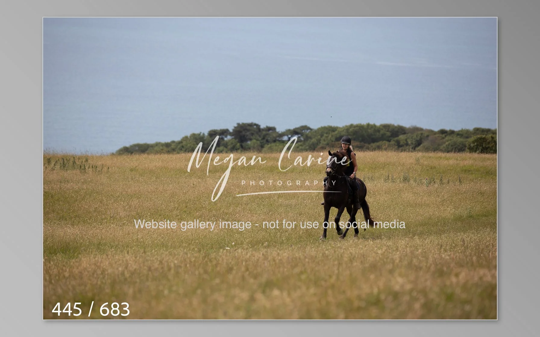 Abbotsbury-445.jpg