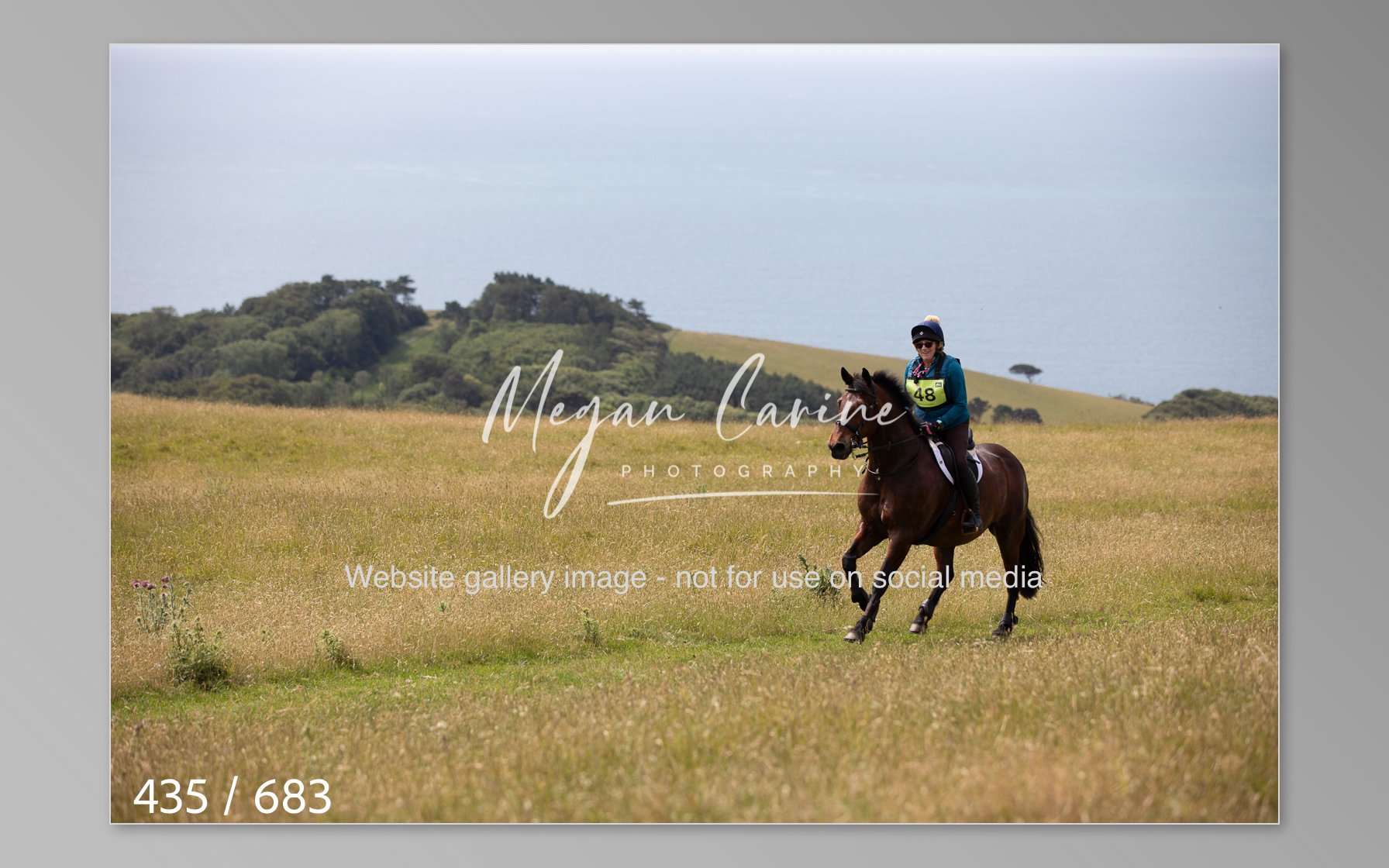 Abbotsbury-435.jpg