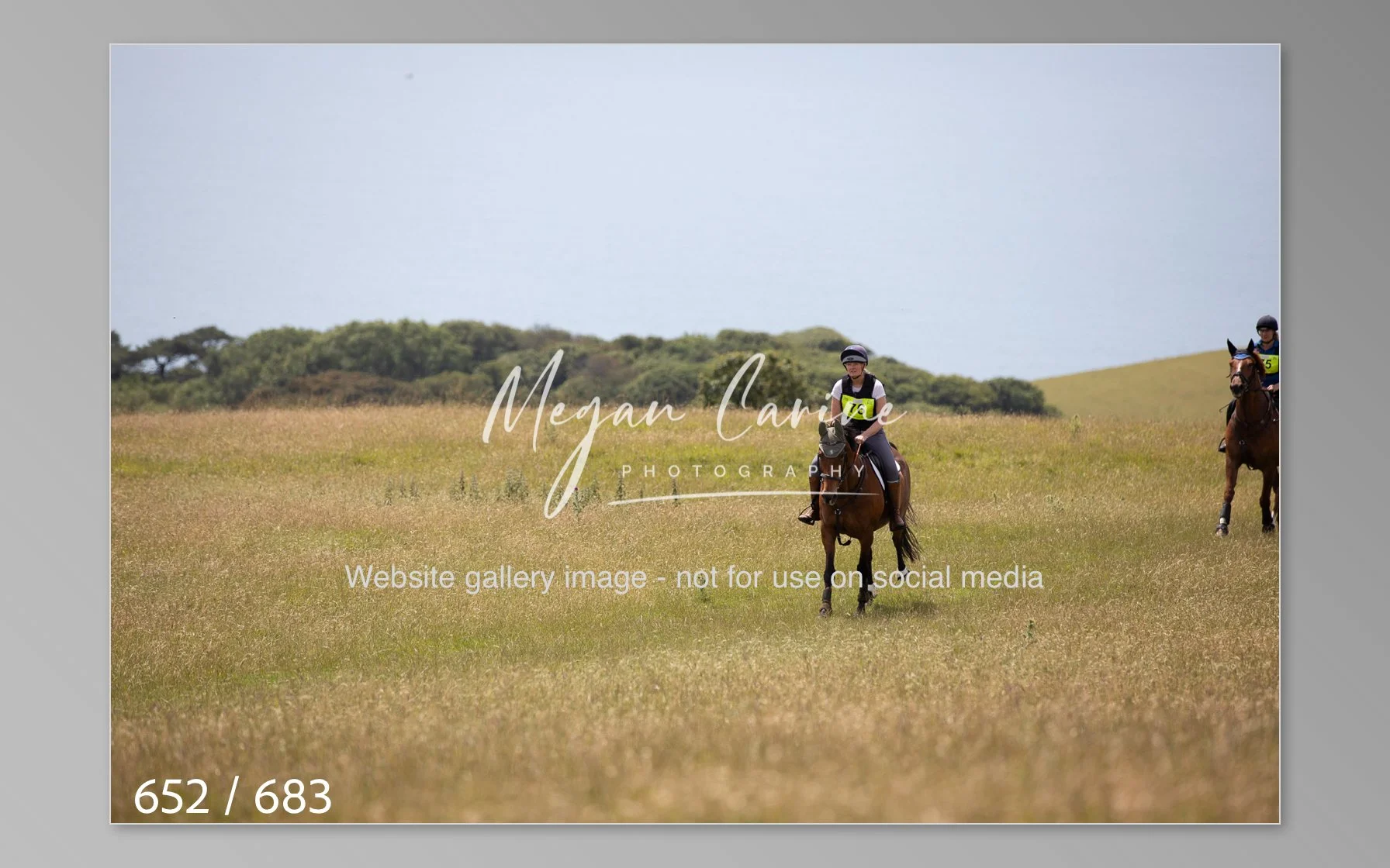 Abbotsbury-652.jpg