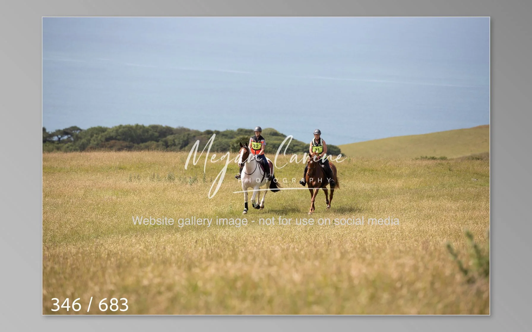 Abbotsbury-346.jpg