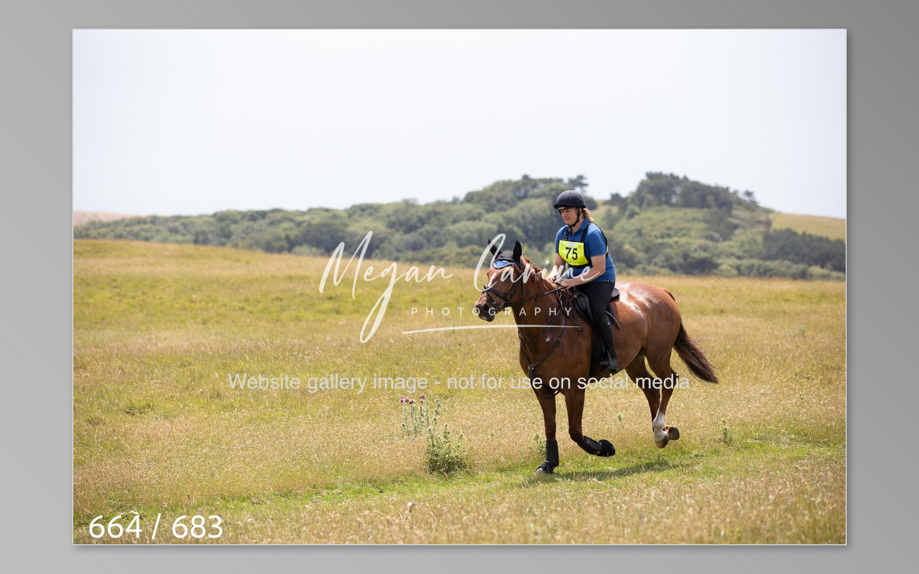 Abbotsbury-664.jpg