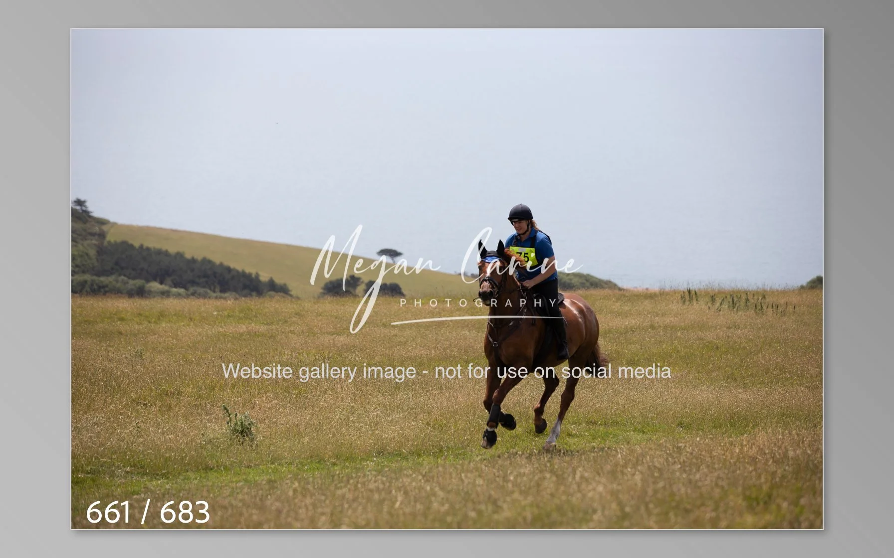 Abbotsbury-661.jpg
