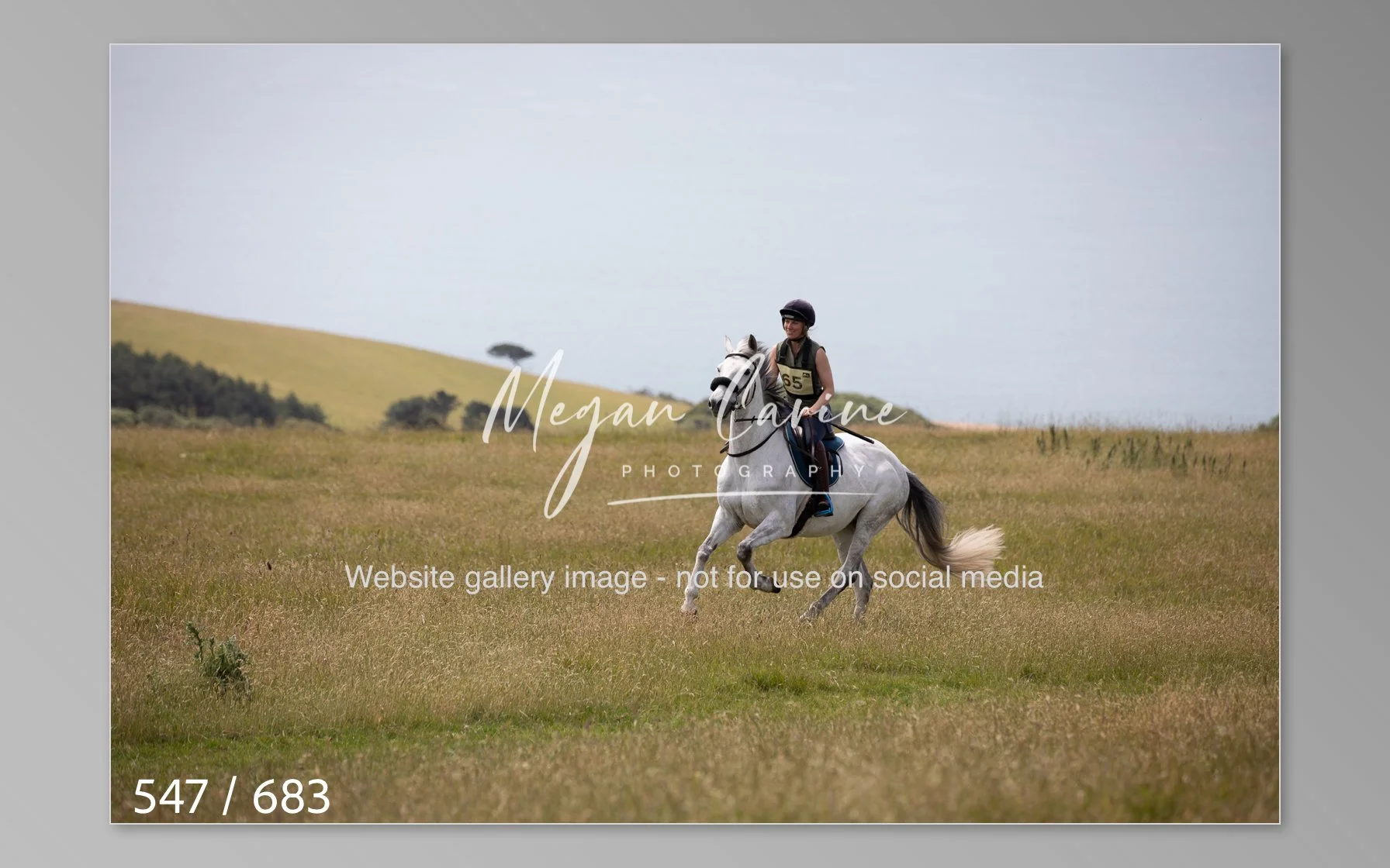 Abbotsbury-547.jpg