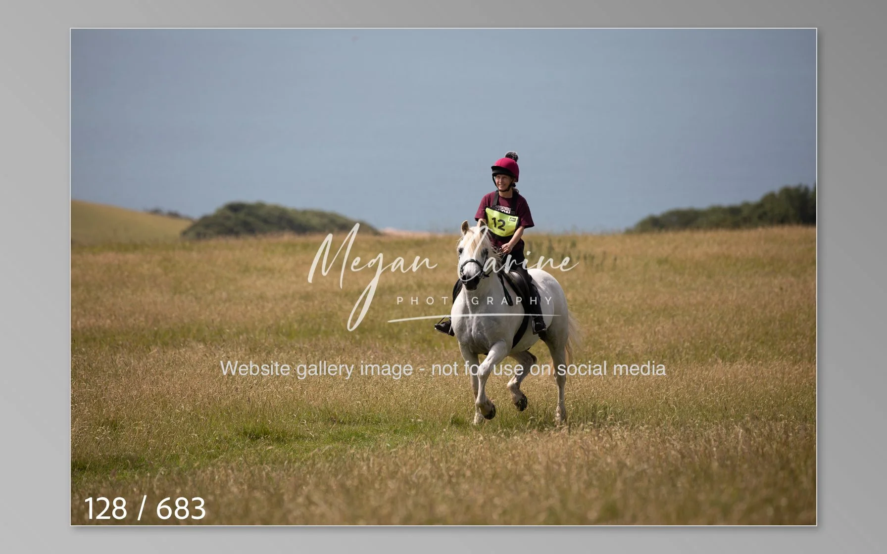 Abbotsbury-128.jpg