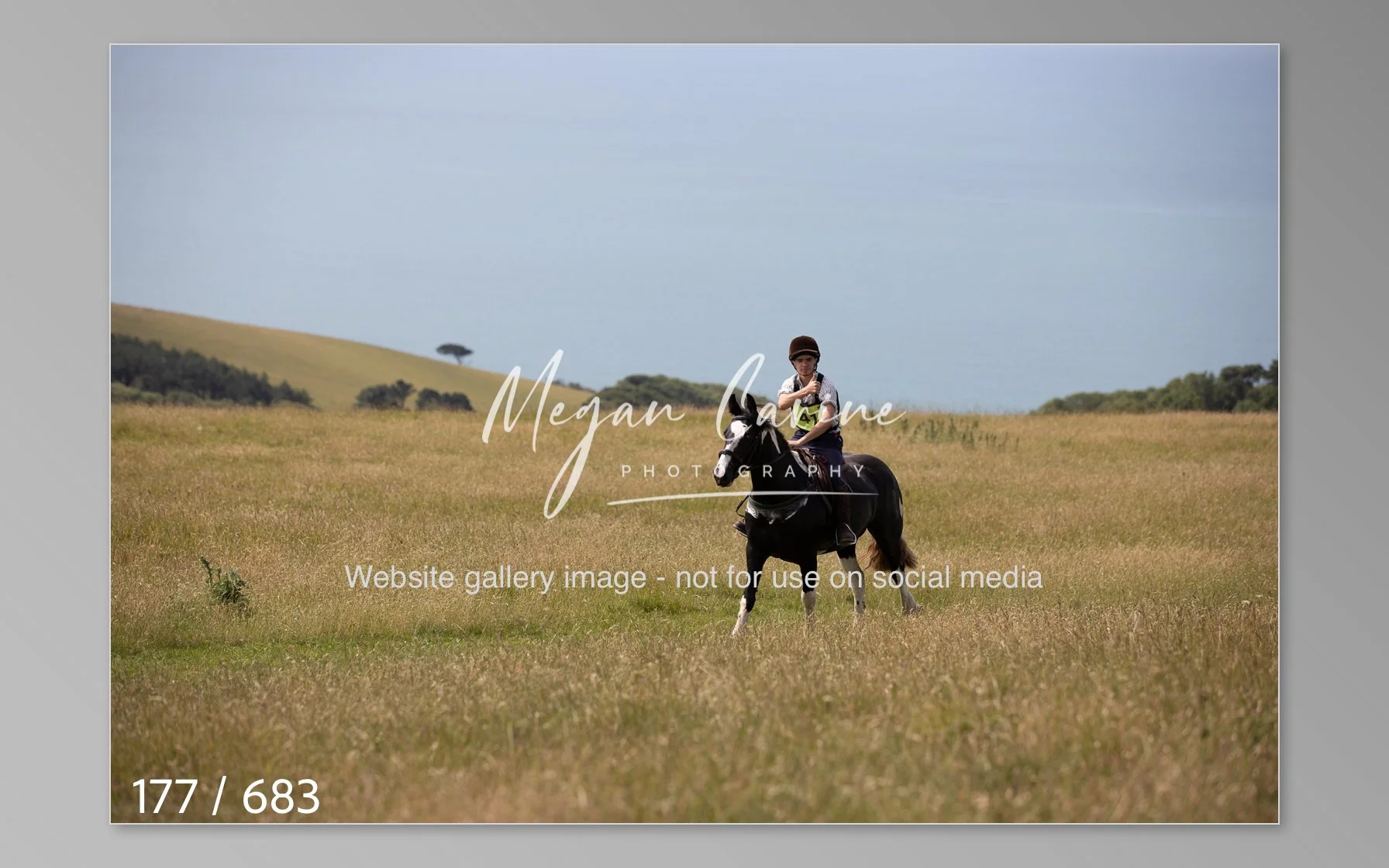 Abbotsbury-177.jpg