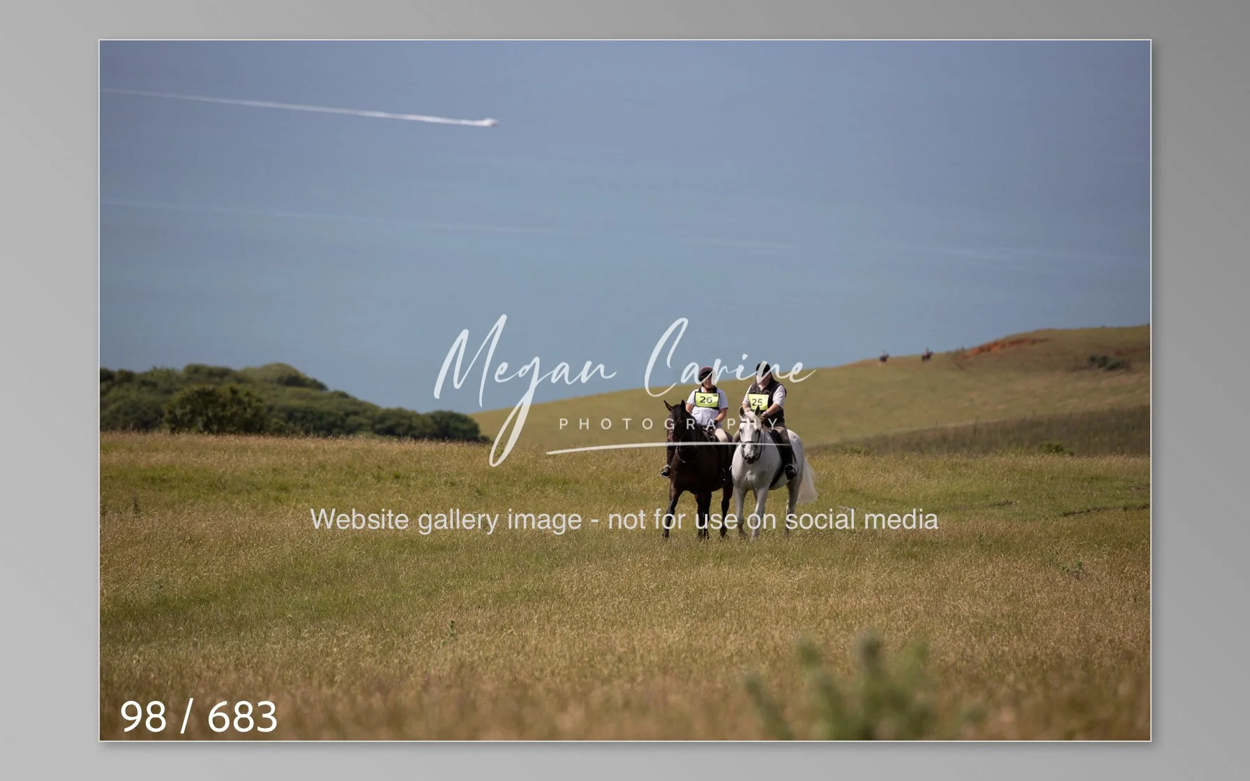 Abbotsbury-098.jpg