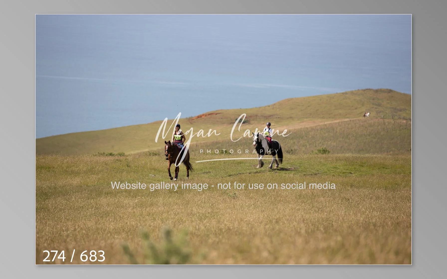 Abbotsbury-274.jpg