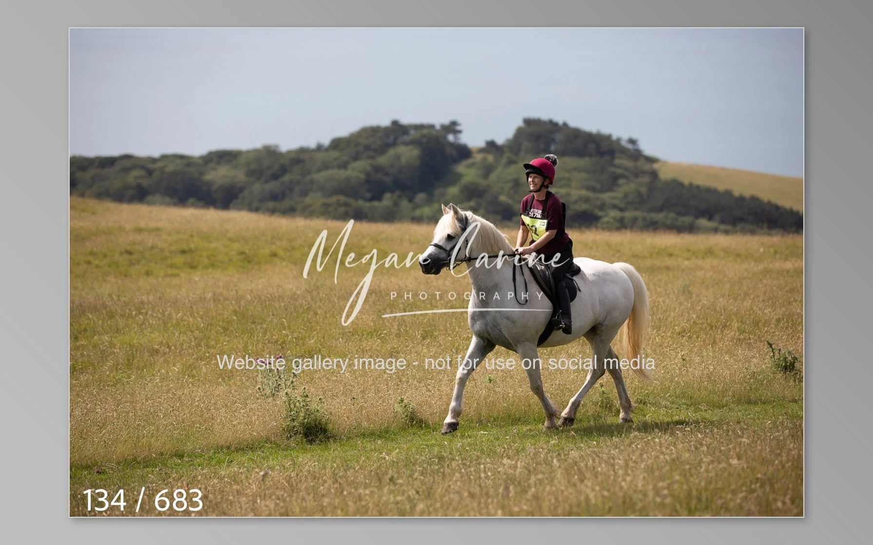 Abbotsbury-134.jpg