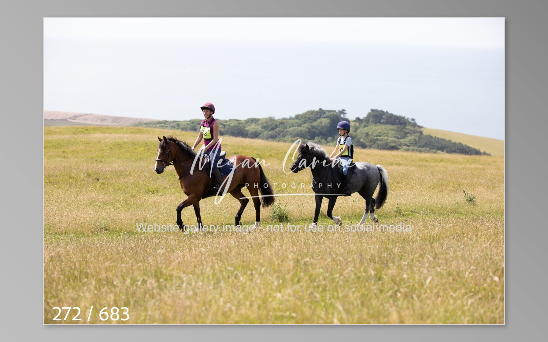 Abbotsbury-272.jpg