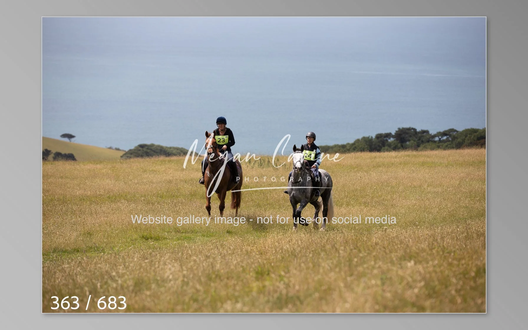 Abbotsbury-363.jpg
