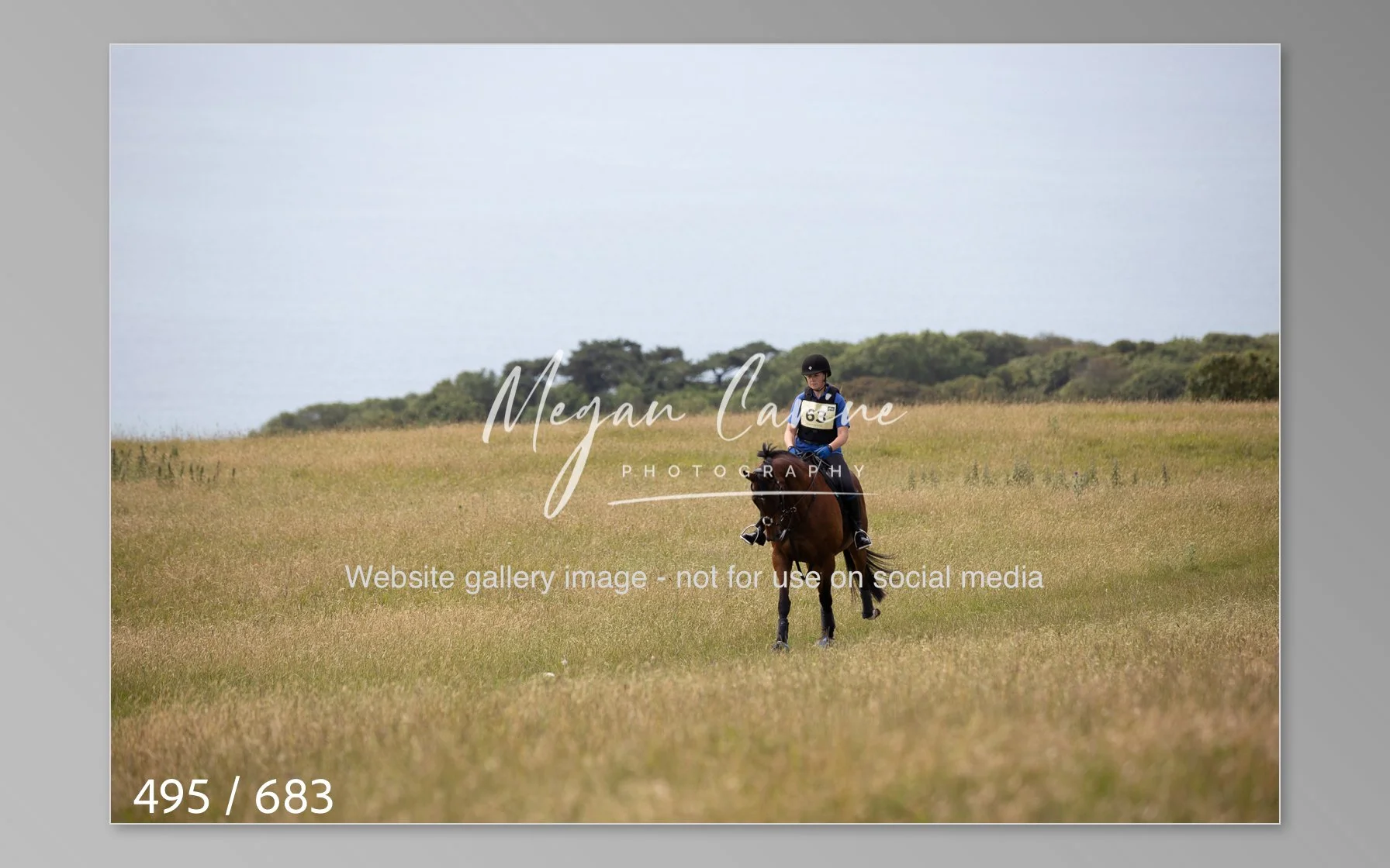 Abbotsbury-495.jpg