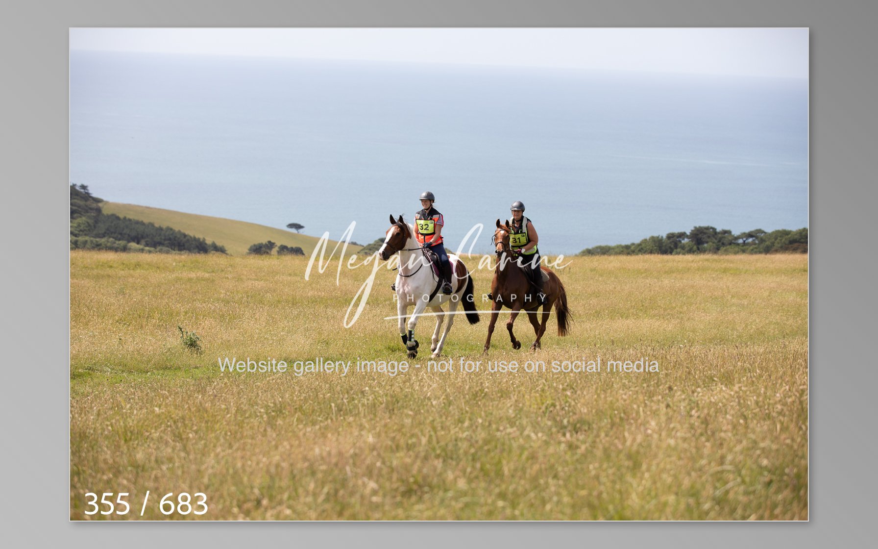 Abbotsbury-355.jpg