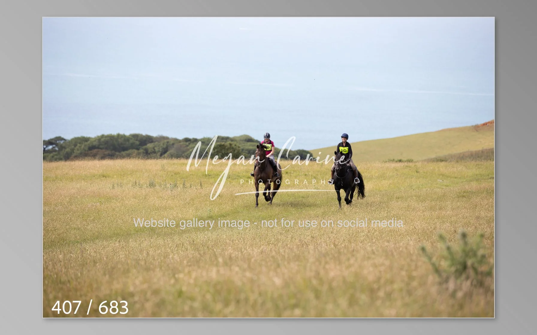 Abbotsbury-407.jpg
