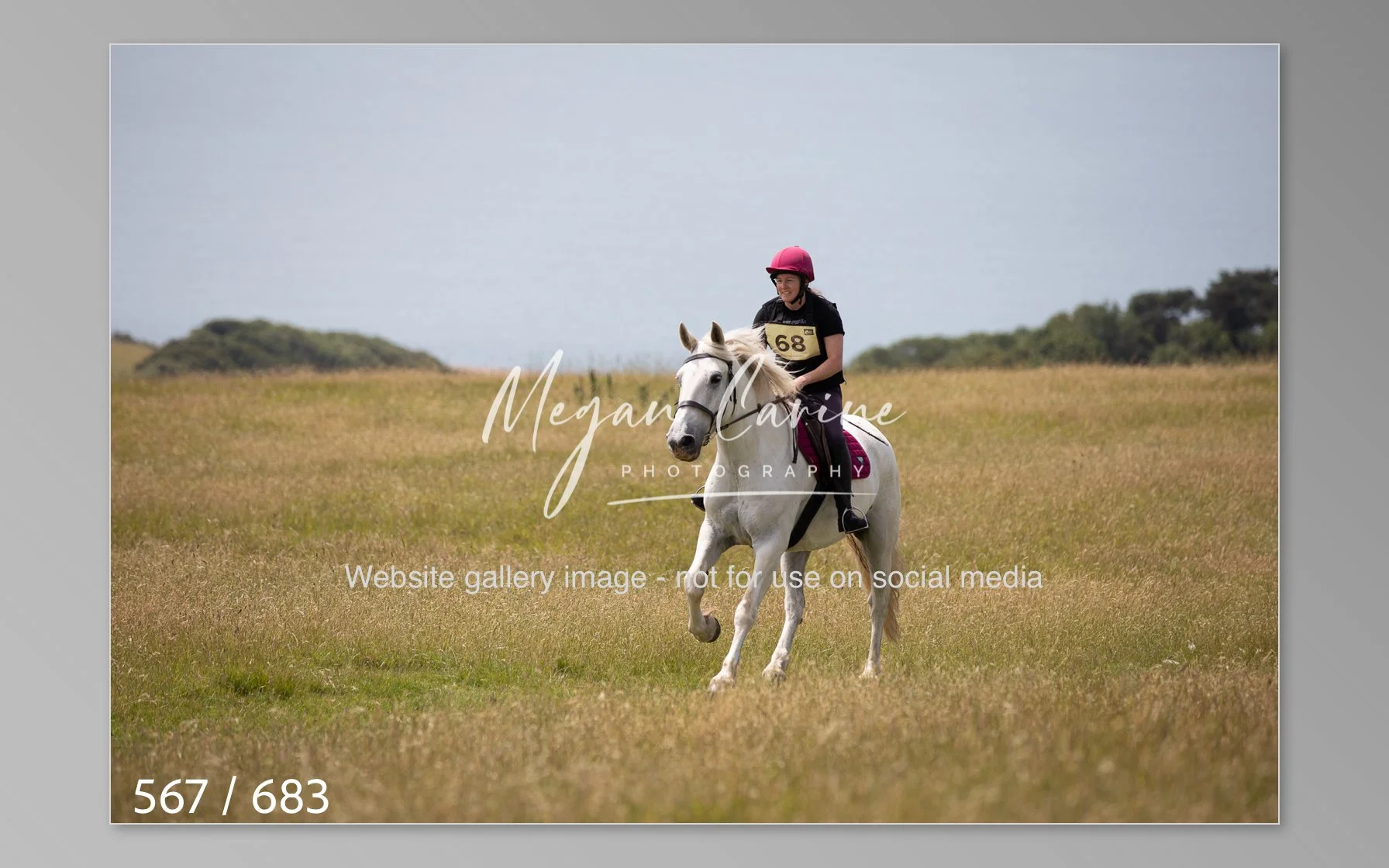 Abbotsbury-567.jpg