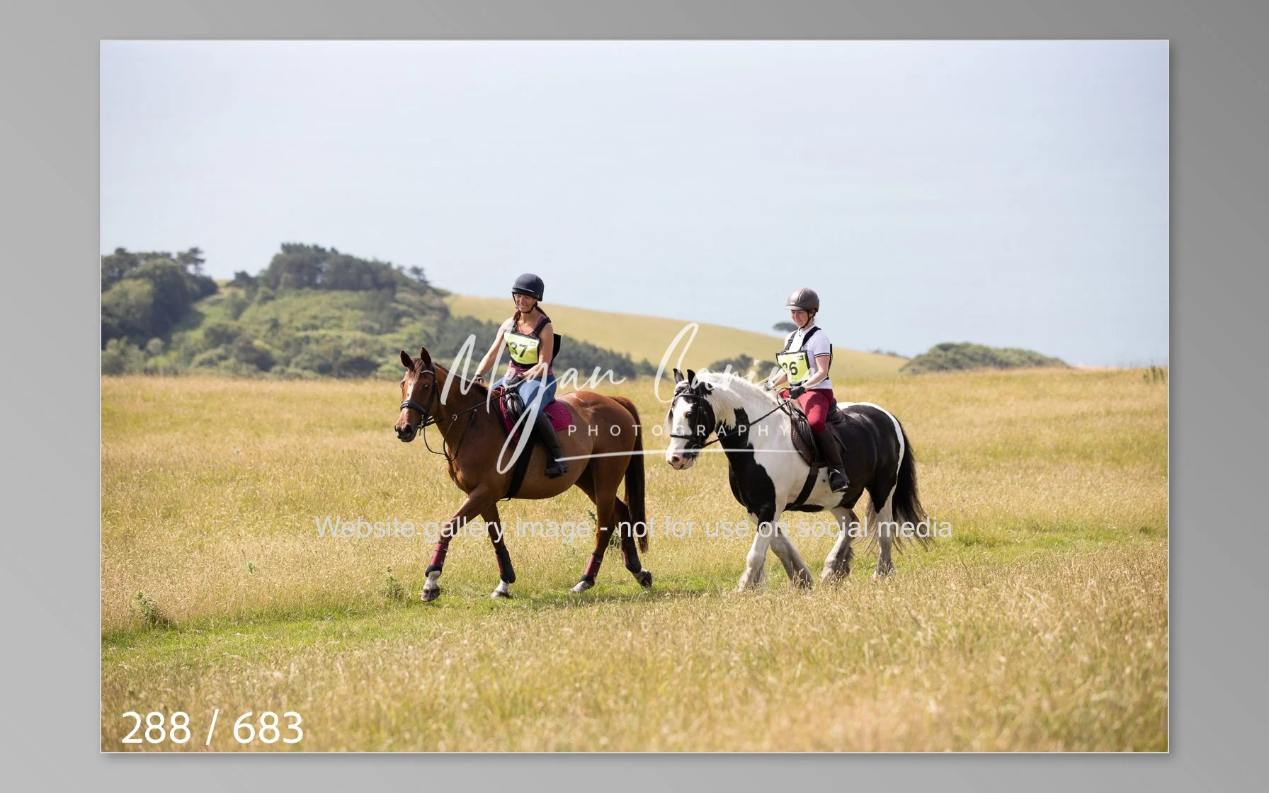 Abbotsbury-288.jpg