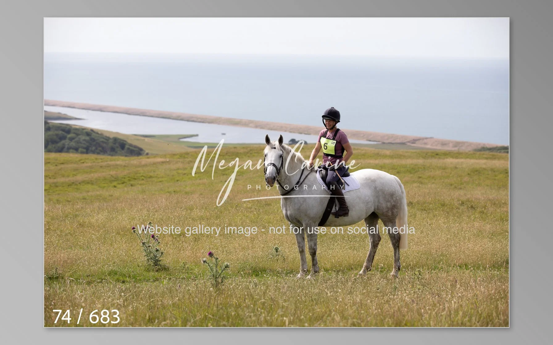 Abbotsbury-074.jpg