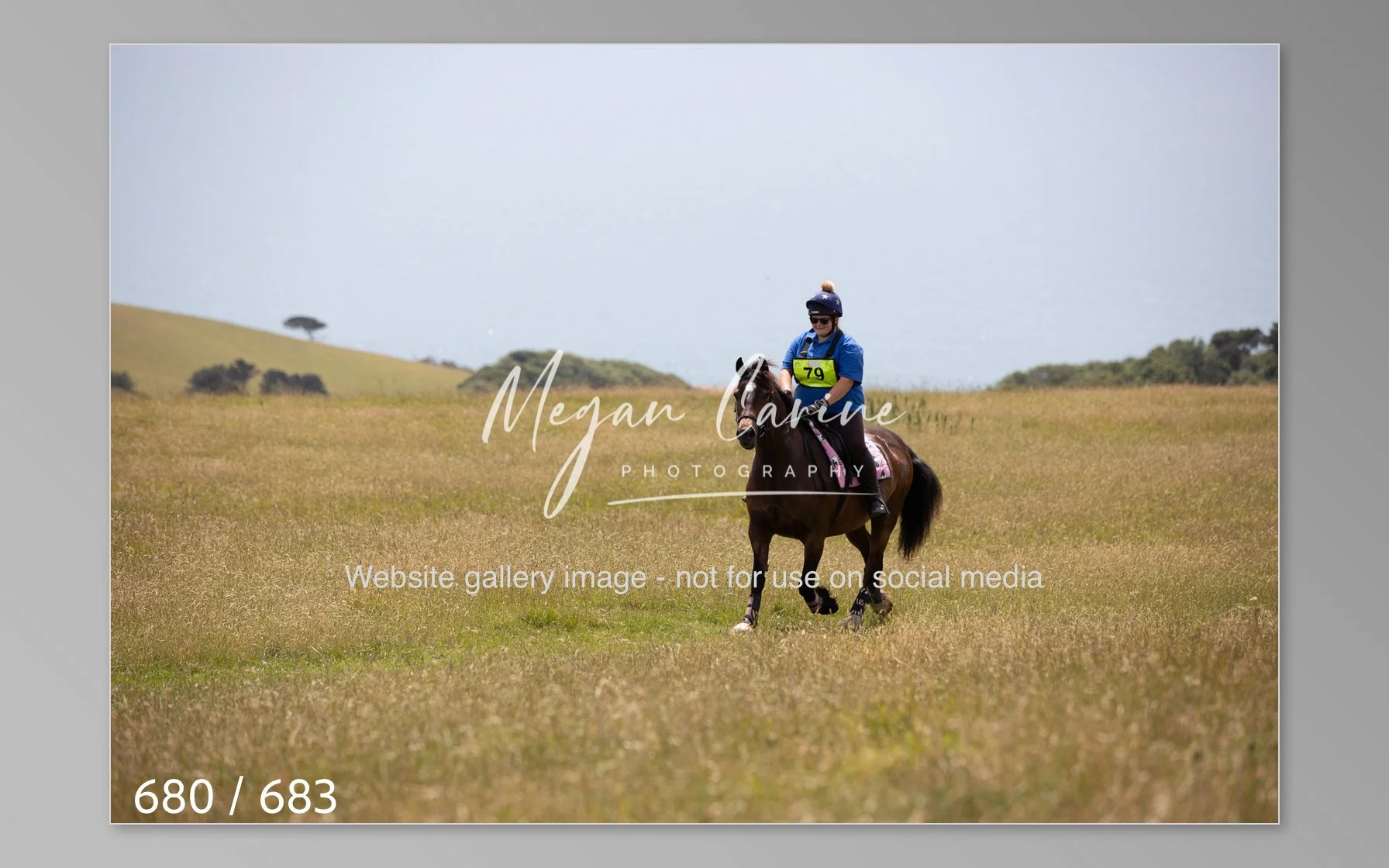 Abbotsbury-680.jpg