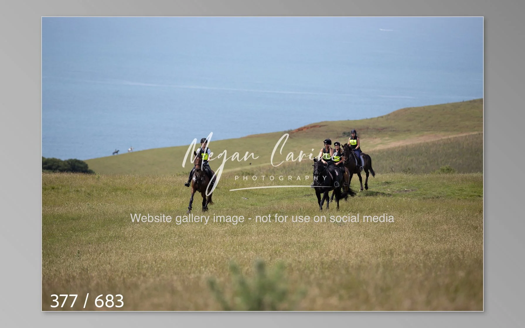 Abbotsbury-377.jpg