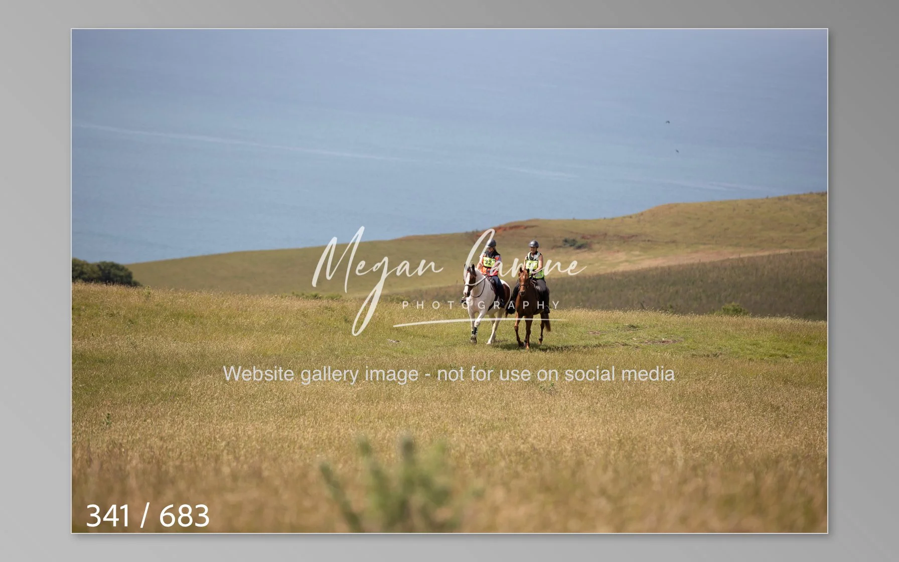 Abbotsbury-341.jpg