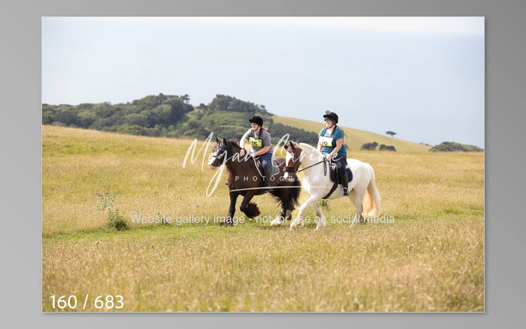Abbotsbury-160.jpg