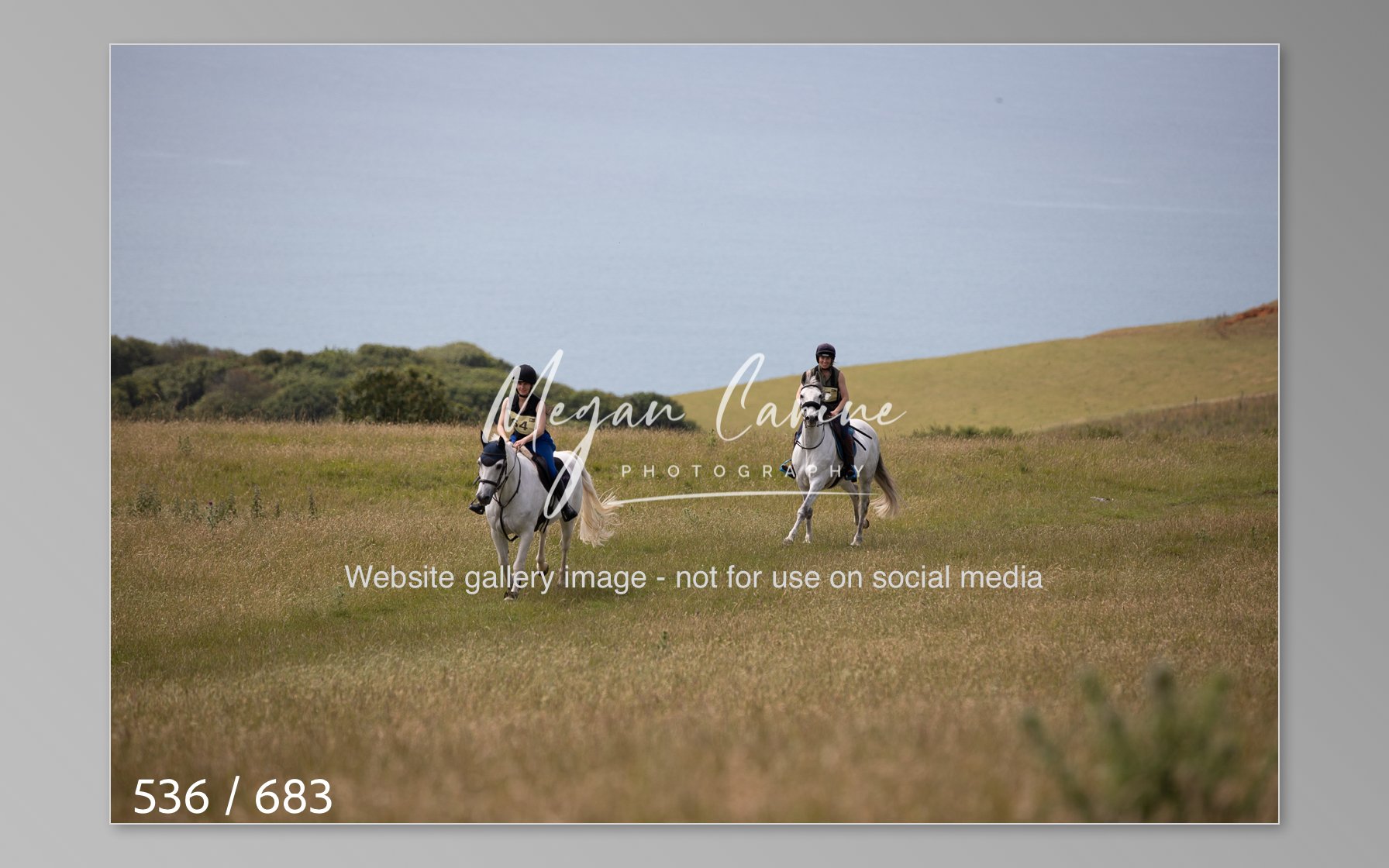 Abbotsbury-536.jpg