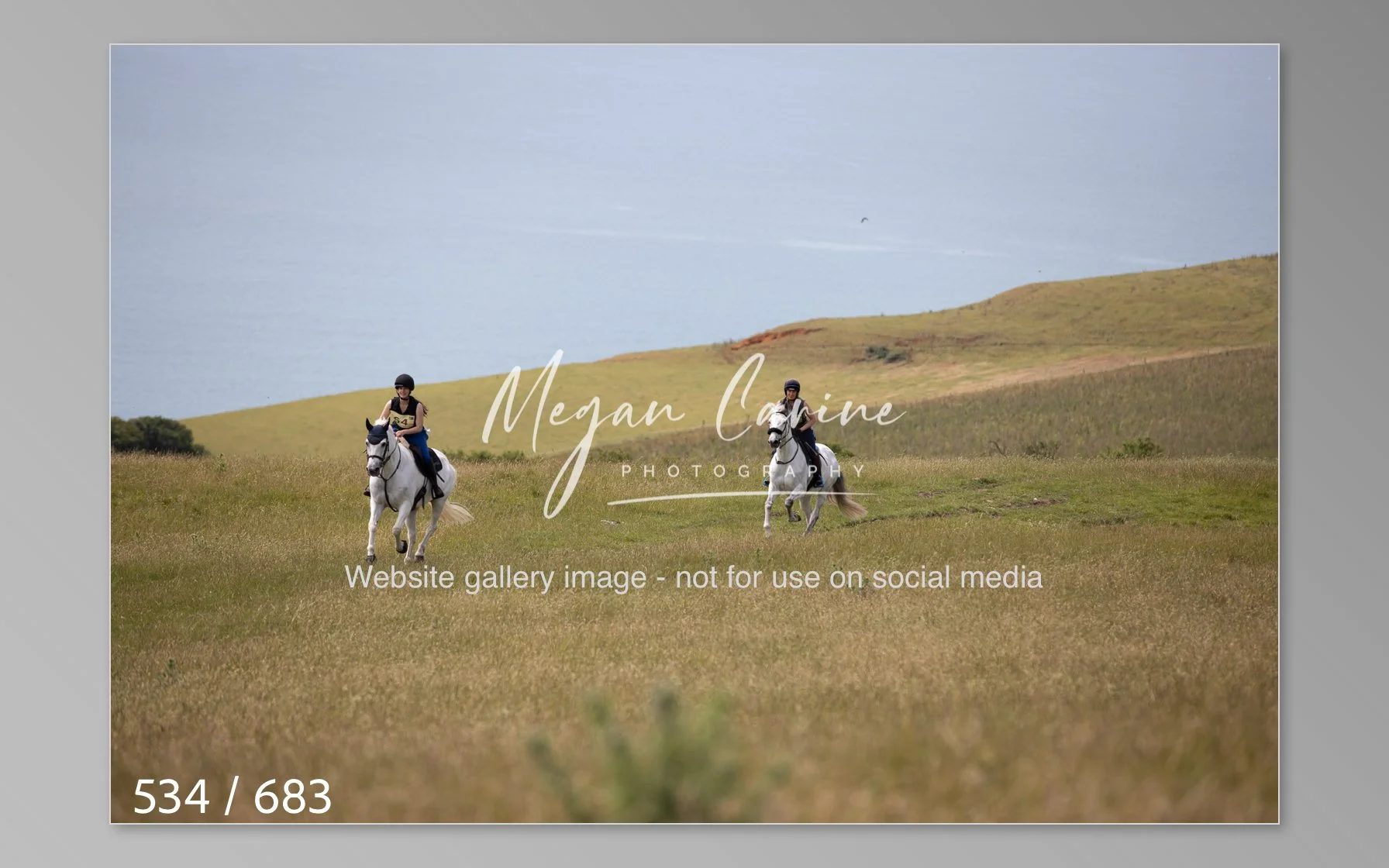Abbotsbury-534.jpg