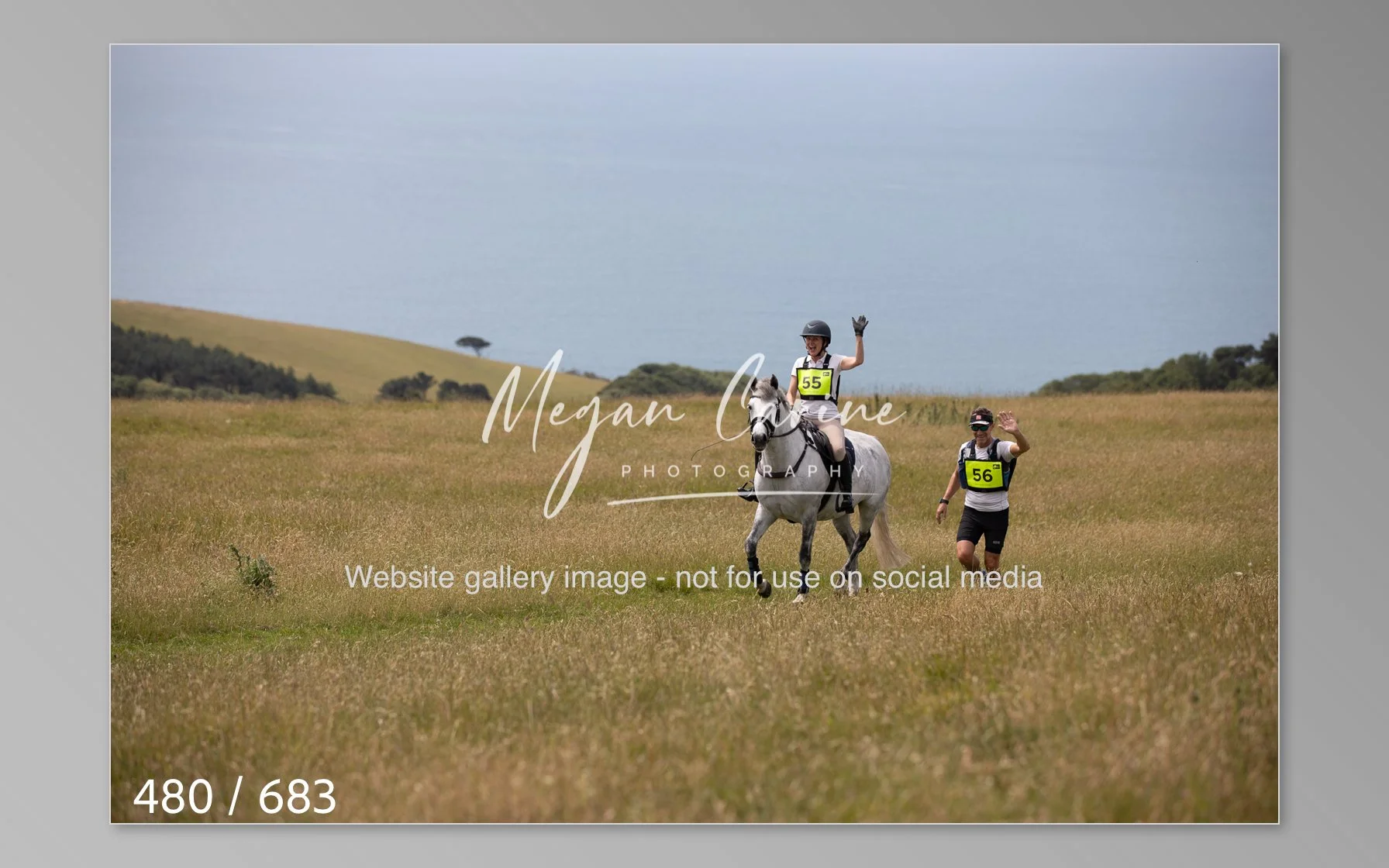 Abbotsbury-480.jpg