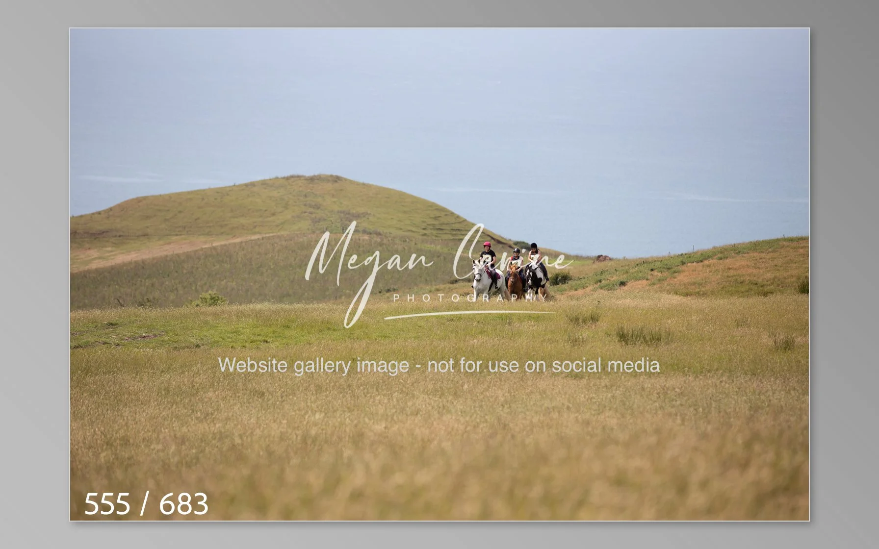 Abbotsbury-555.jpg