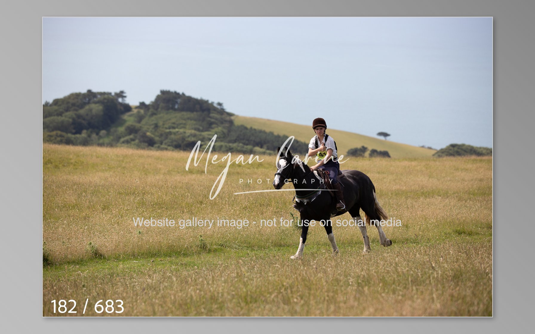 Abbotsbury-182.jpg