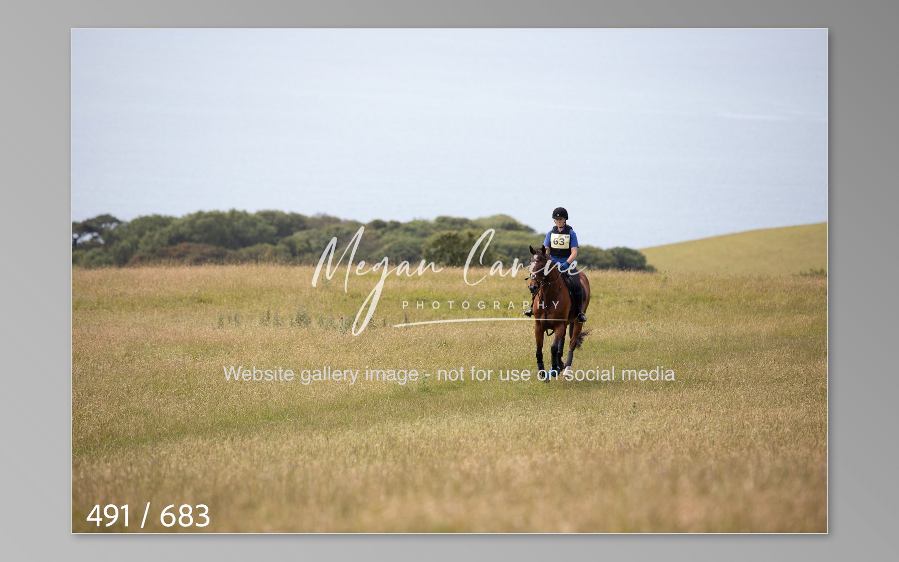 Abbotsbury-491.jpg