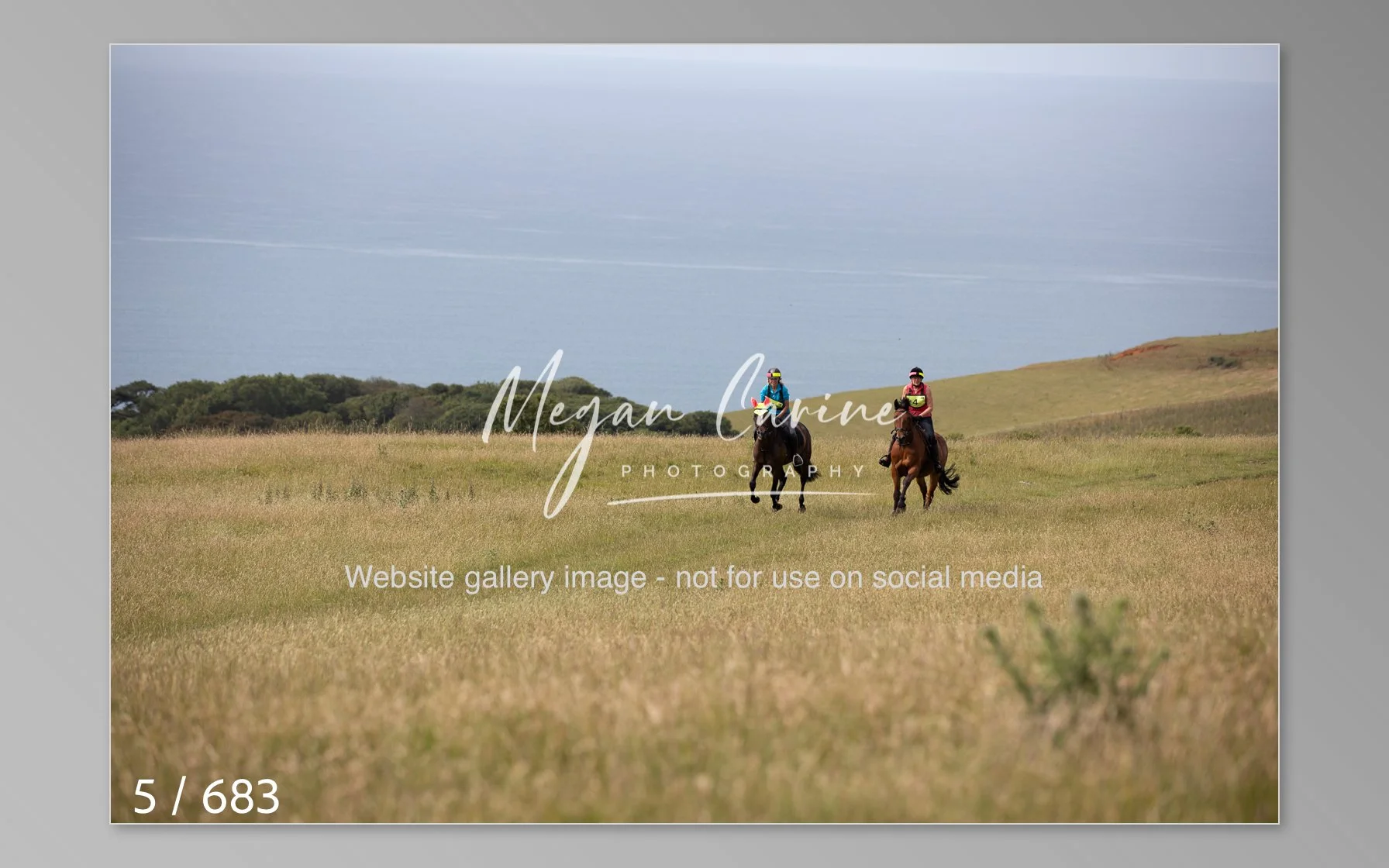 Abbotsbury-005.jpg