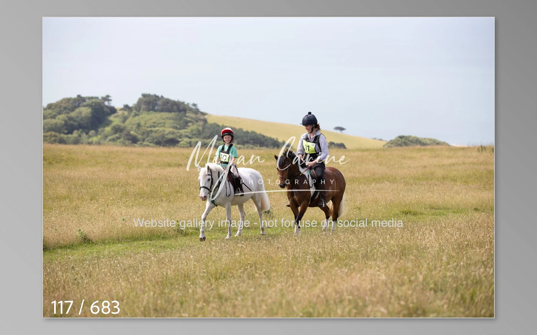Abbotsbury-117.jpg