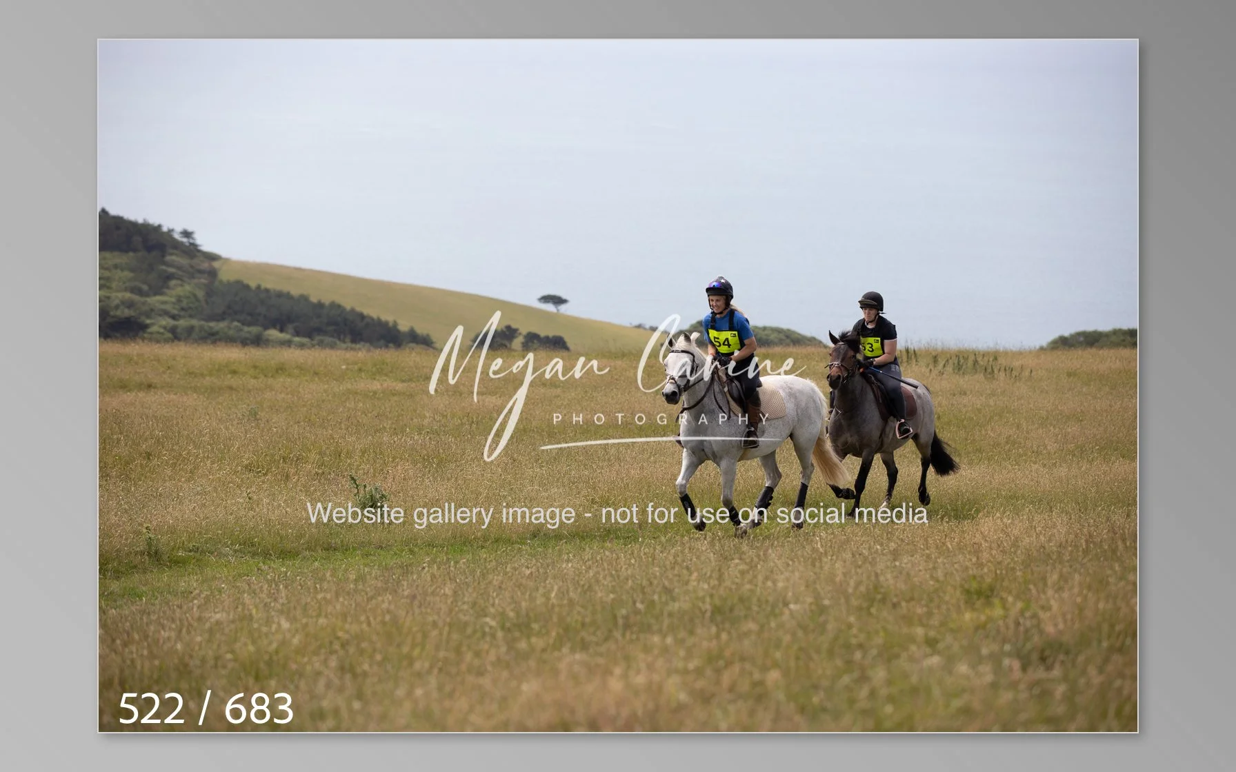 Abbotsbury-522.jpg