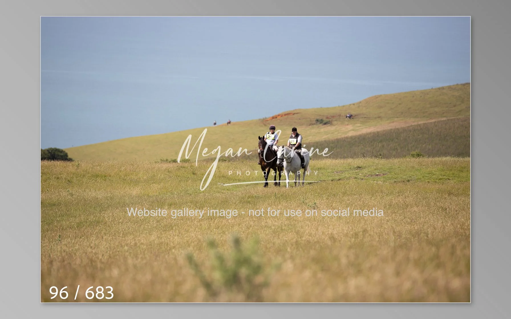Abbotsbury-096.jpg