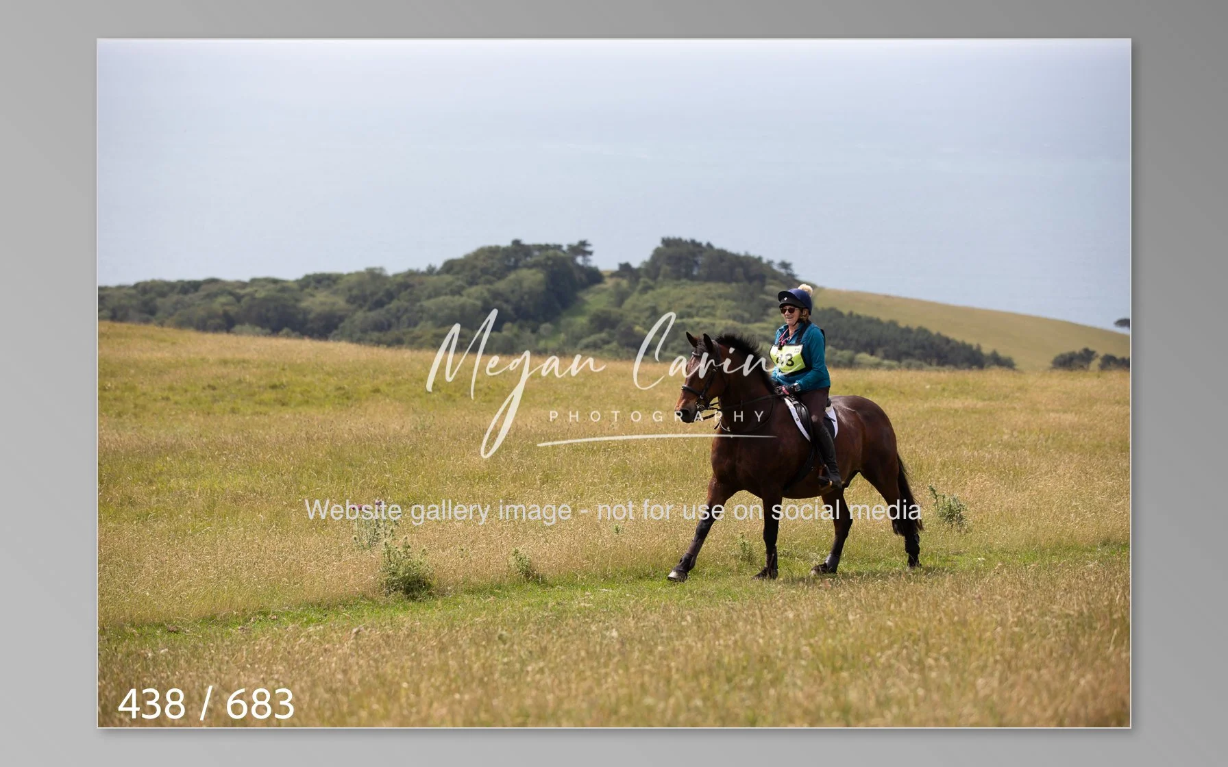 Abbotsbury-438.jpg