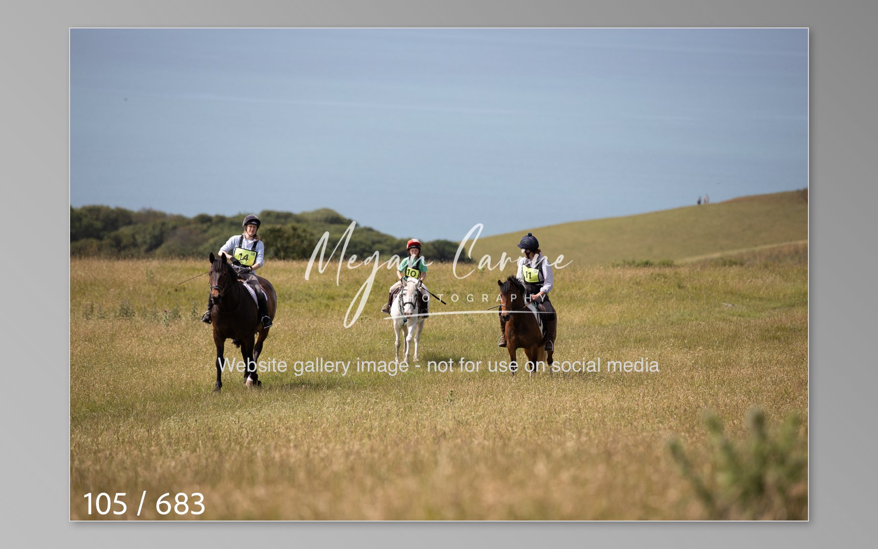 Abbotsbury-105.jpg