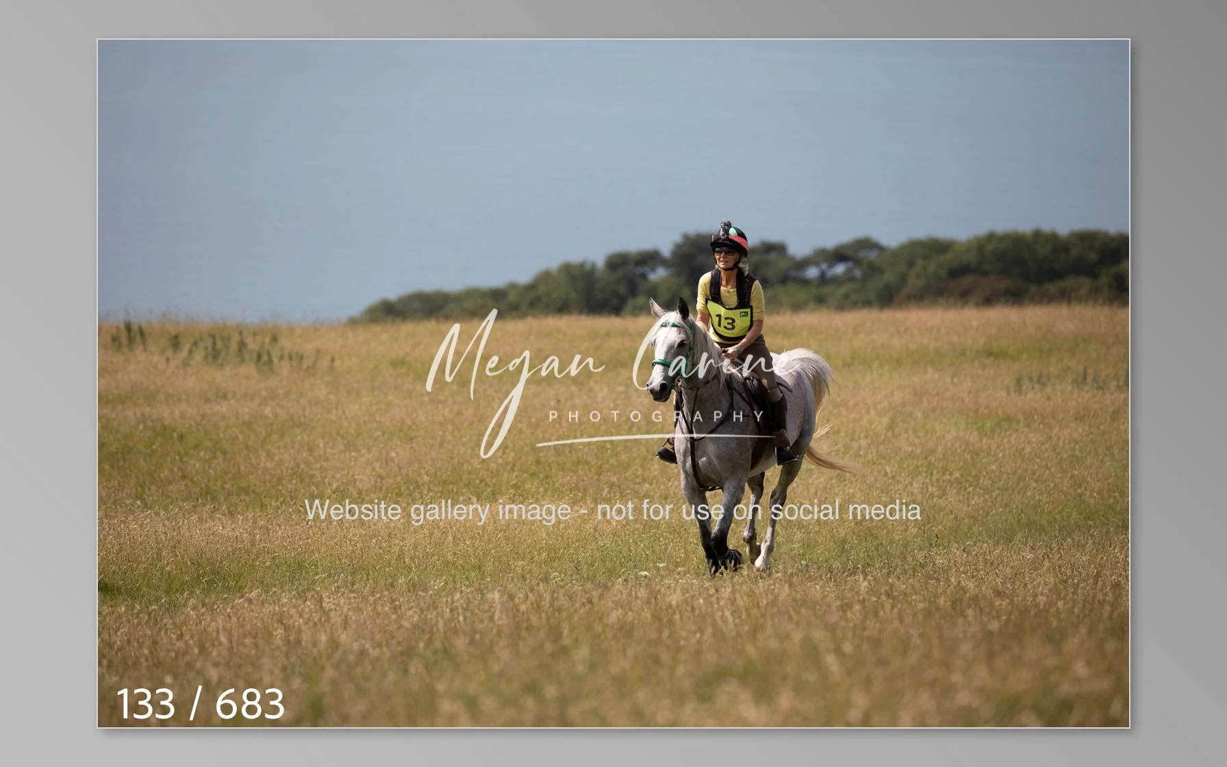 Abbotsbury-133.jpg