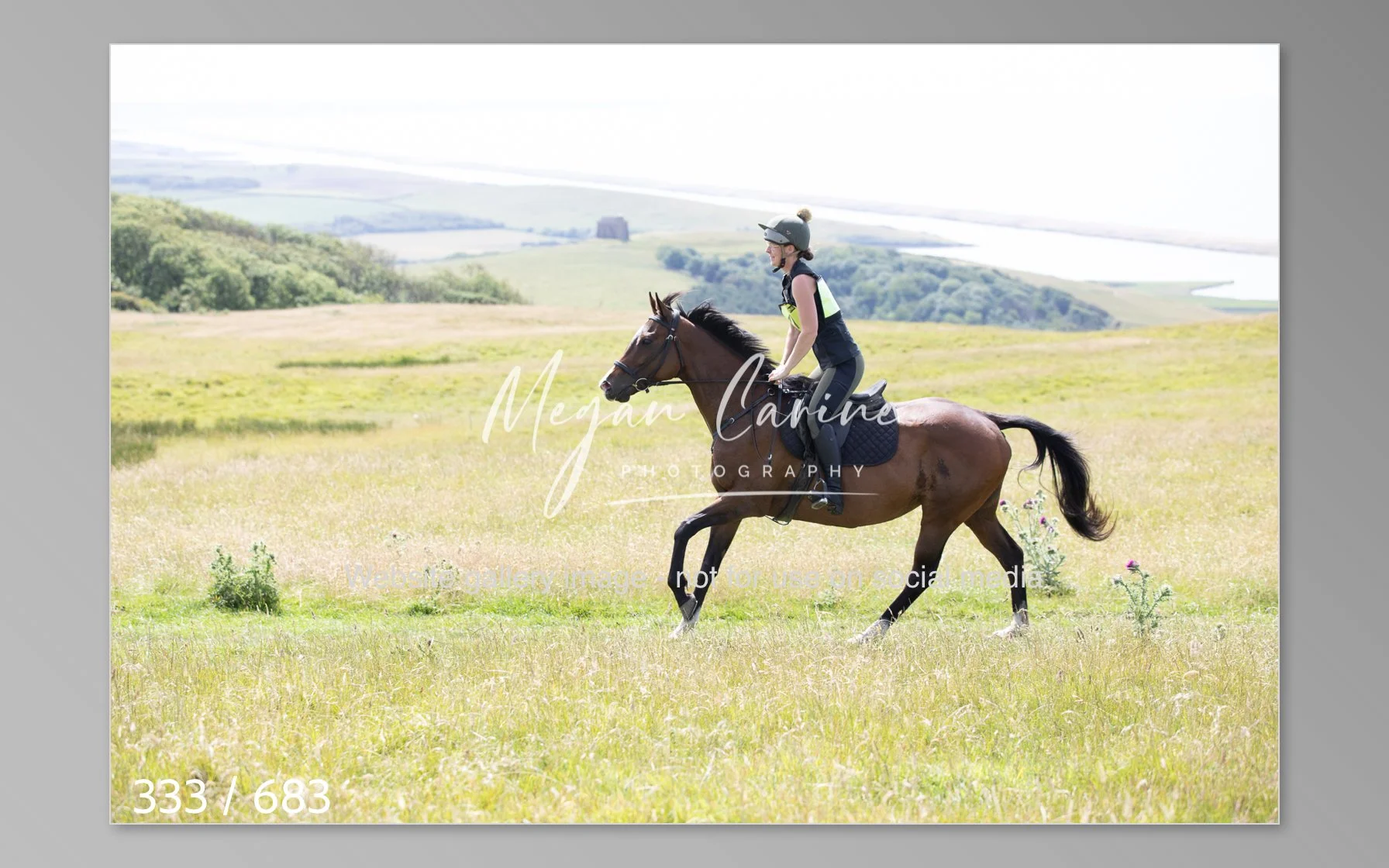 Abbotsbury-333.jpg