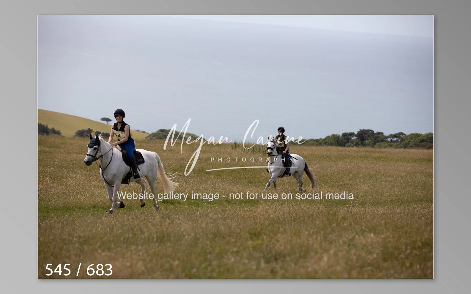 Abbotsbury-545.jpg