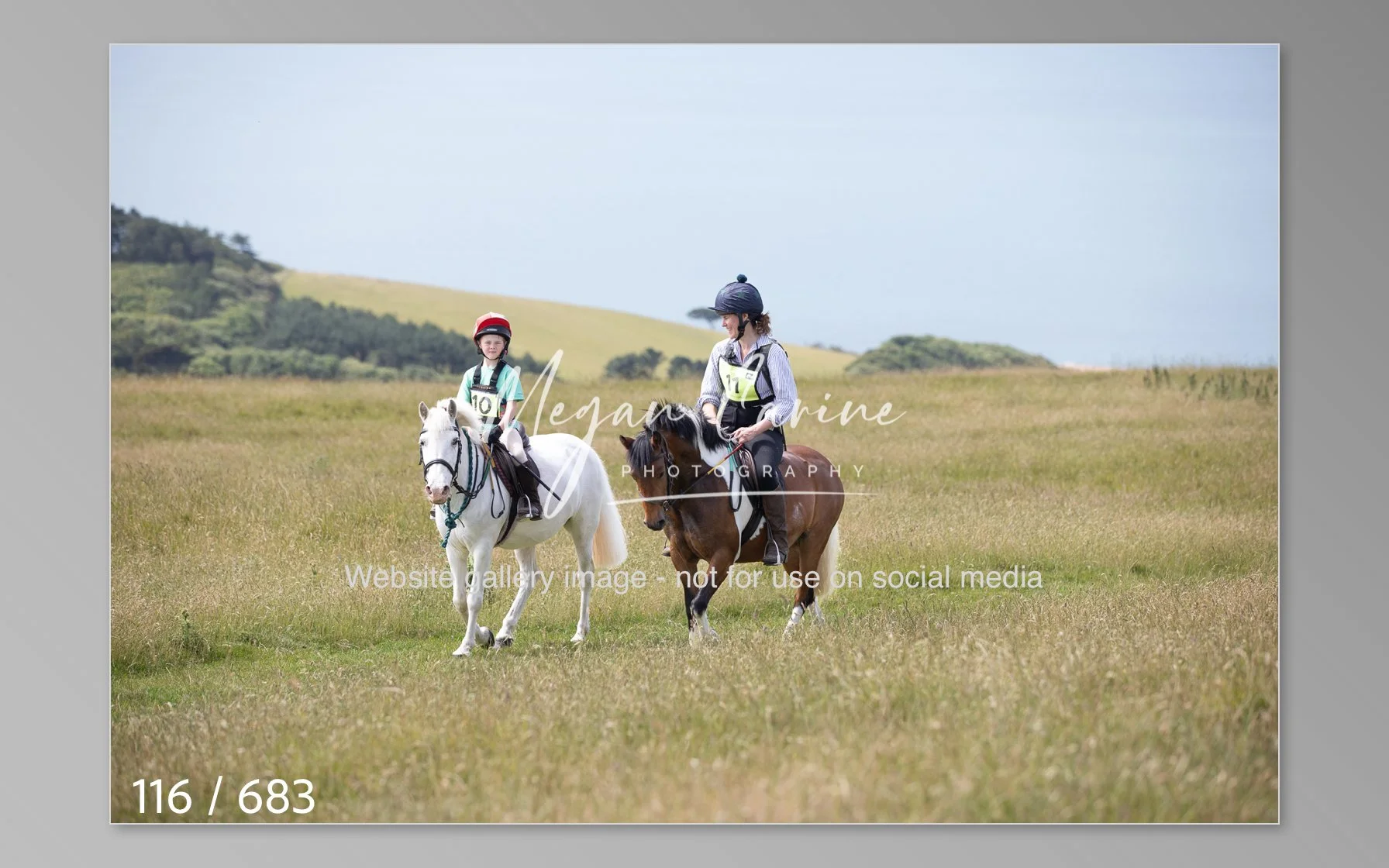 Abbotsbury-116.jpg