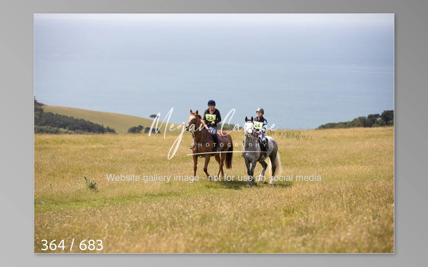 Abbotsbury-364.jpg